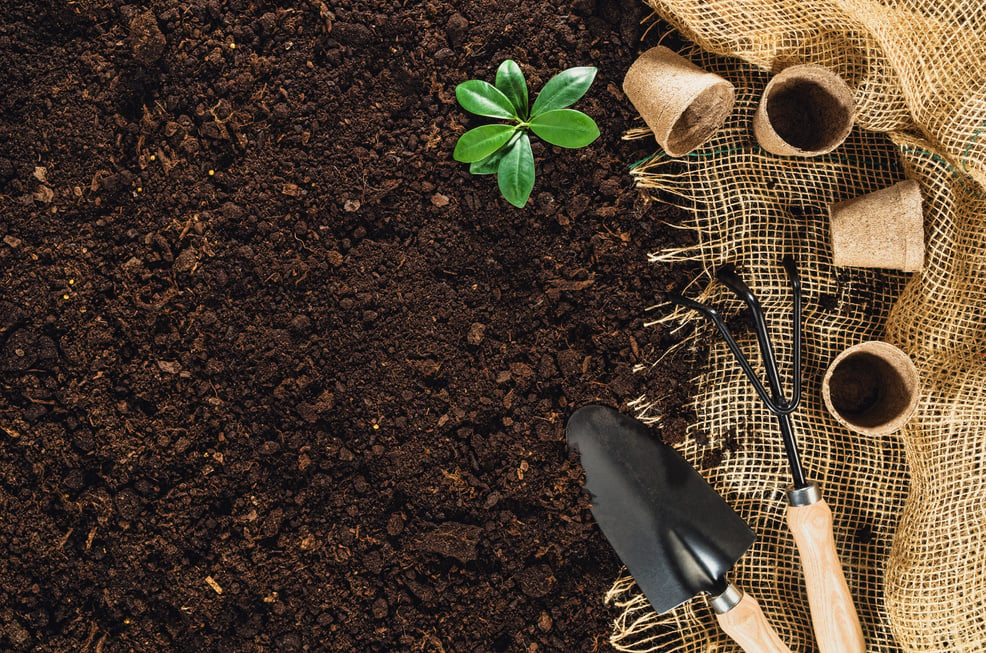 Gardening tools on garden soil texture background top view