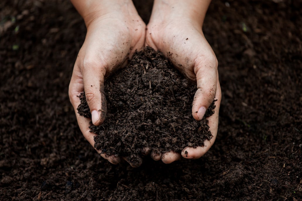 Soil in hand for planting